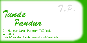 tunde pandur business card